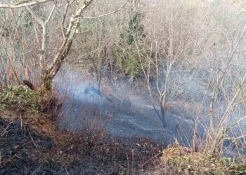 Karamürsel’de Temizlik Amaçlı Yakılan Ateş Ormana Sıçradı