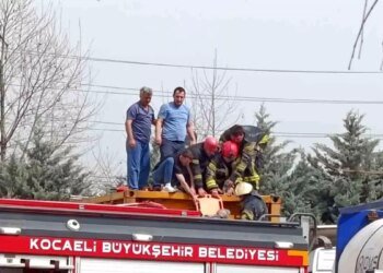 Kocaeli’de Tır Tankına Düşen İşçi Ağır Yaralandı