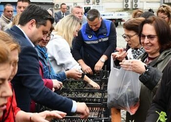 Lüleburgaz Belediyesi’nden vatandaşlara 20 bin adet fide