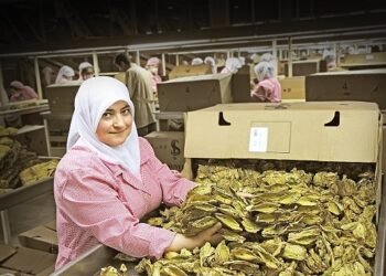 Tütün sektörü 7 yıl sonra ihracatta 1 milyar dolar sınırını aştı