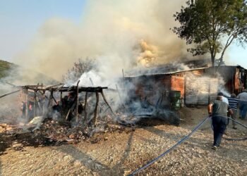 400 Bin TLlik Saman ve Yem Balyasi Yandi kocaeli