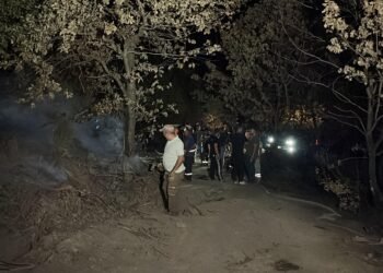 Gebzede orman yangini 3 saatte sonduruldu kocaeli