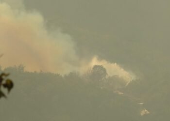 Kocaelide Ikinci Orman Yangini kocaeli
