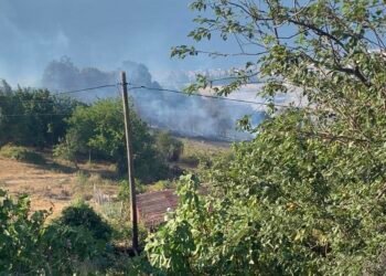 Kocaelide Orman Yangini Ek Fotograflar kocaeli