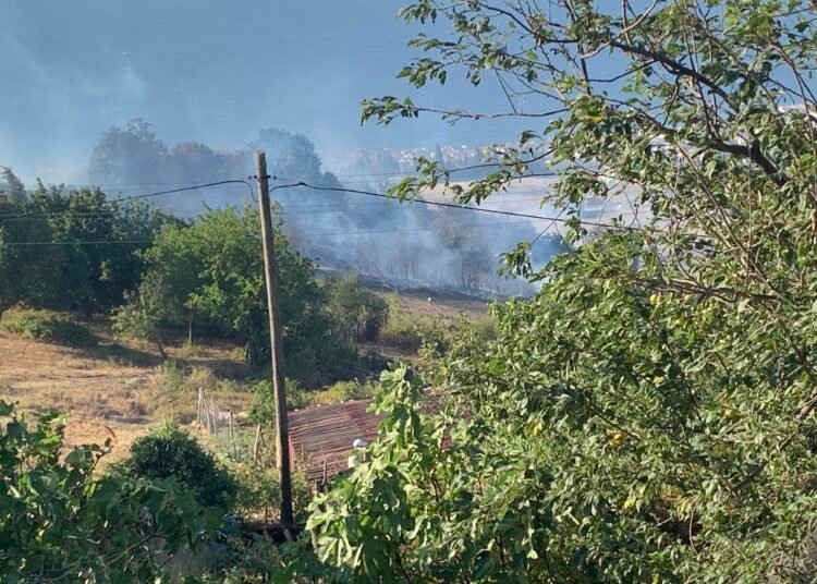 Kocaelide Orman Yangini Ek Fotograflar kocaeli