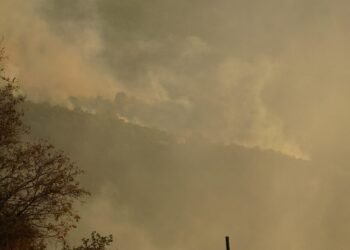 Kocaelide orman yangini Ek fotograflar kocaeli