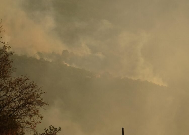 Kocaelide orman yangini Ek fotograflar kocaeli