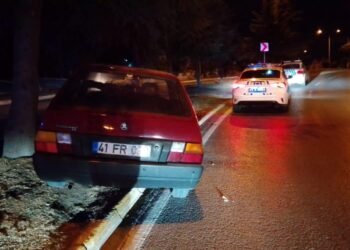 Kocaelide otomobil agaca carpti 5 yarali kocaeli
