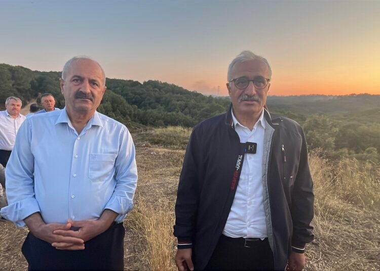 Kocaelide ucuncu orman yangini kocaeli