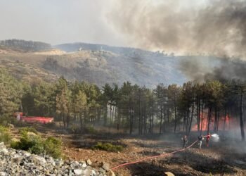 Kocaeliden Bursa yanginina tam destek file