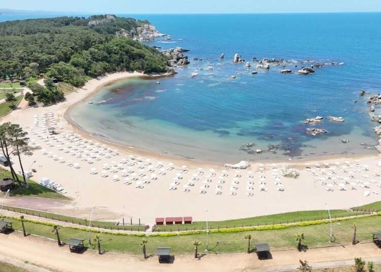 Mico Kadinlar Plaji Yok Yok Her Sey Mevcut file