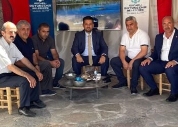 Ahlat Kocaeli ruzgari file