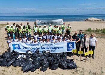 Buyuksehir Kocaeli Deniz kiyi temizliginde durmak yok file