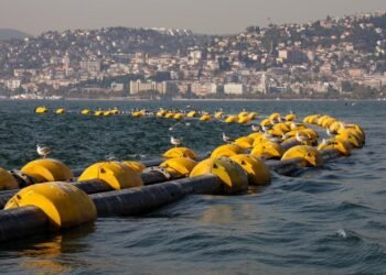 Camur Temizlendi Doga Canlandi Yeni Canlilar Donuyor file