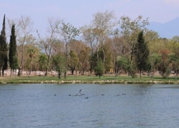 Fuar Alaninin Kalbi Yeniden Canlandi file