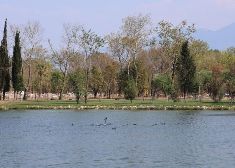 Fuar Alaninin Kalbi Yeniden Canlandi file