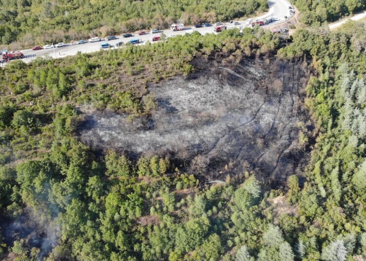 Izmitte Orman Yangini Bir Saatte Sonduruldu kocaeli