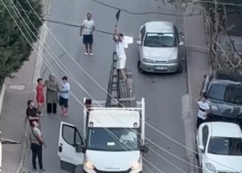 Kabloya takilan guvercini kamyonetle kurtardi kocaeli