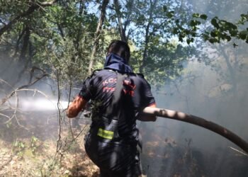 Kocaeli Buyuksehir Karamursel Yanginina Seferberlik Ilan Etti file