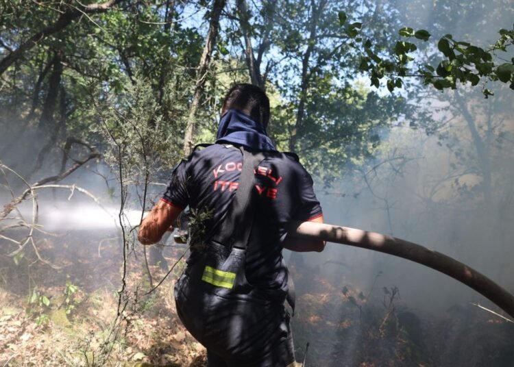 Kocaeli Buyuksehir Karamursel Yanginina Seferberlik Ilan Etti file