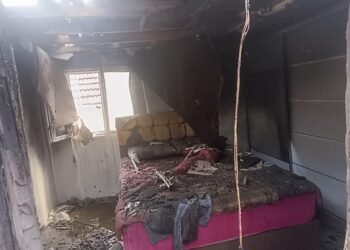 Kocaeli Orman yangini suruyor kocaeli