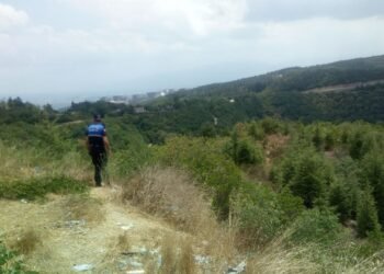 Kocaeli Zabita yanginlara karsi denetimi yogunlastirdi file