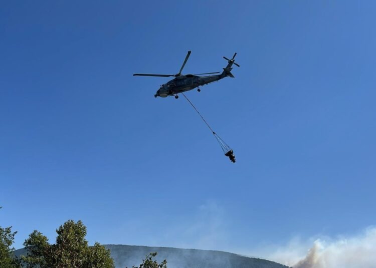 Kocaelide 2. orman yangini kocaeli