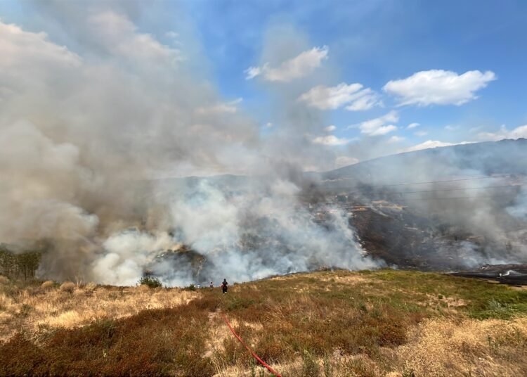 Kocaelide ot yangini Ekipler mudahalede kocaeli