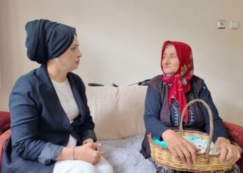 Kocaeliden her kapiya gonul koprusu file