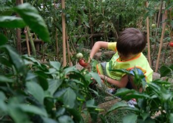 Lokomotif Cocuk Koyu Hasat Sevinci file