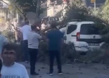 Ruzgar agaci devirdi Ticari aracin uzerine dustu kocaeli