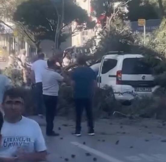 Ruzgar agaci devirdi Ticari aracin uzerine dustu kocaeli