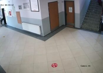 Sahte evrak reddi Veli idarecilere bicakla saldirdi kocaeli