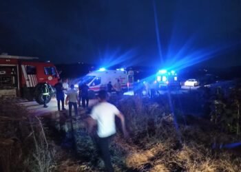 Kestigi agac altinda kaldi oldu kocaeli