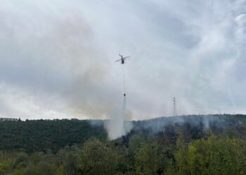 Kocaelideki orman yangini kontrol altinda kocaeli