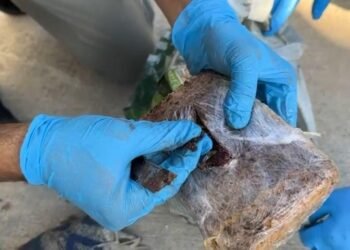 Yolcu Otobusunde Pul Biberli Eroin 7 Kilo Uyusturucu Ele Gecirildi kocaeli