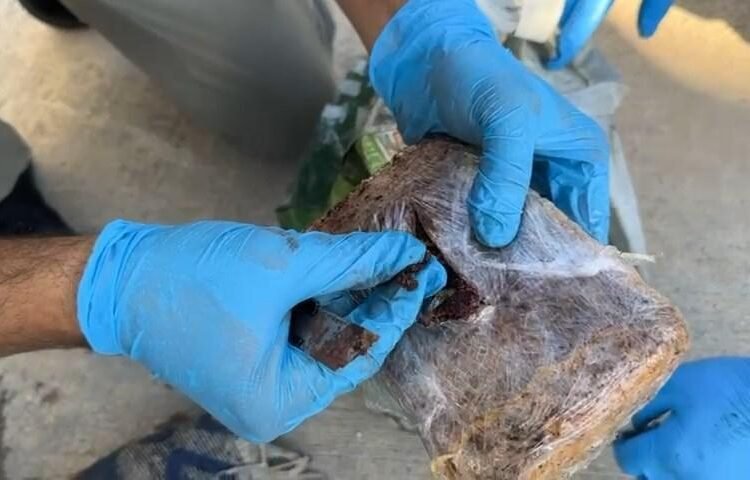 Yolcu Otobusunde Pul Biberli Eroin 7 Kilo Uyusturucu Ele Gecirildi kocaeli