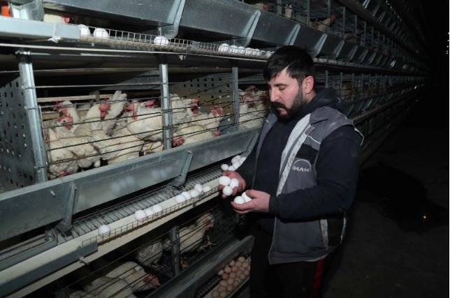 DEVLET DESTEĞİYLE KURULDU, BÖLGENİN YUMURTA ÜSSÜ OLDU: ERZİNCAN’DAN ÇEVRE İLLERE ÜRETİM AKIYOR