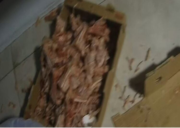 Çayırova’da Ruhsatsız Tavuk Tesisi Kapatıldı