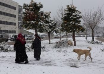 Umuttepe beyaza büründü: Kocaeli’de kar manzarası dronla görüntülendi