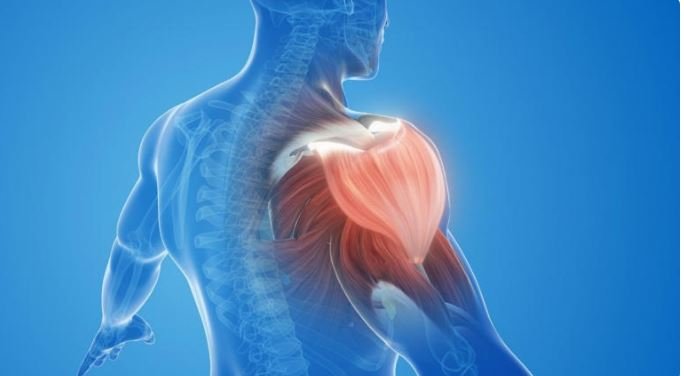 Donuk Omuz Sessizce İlerliyor