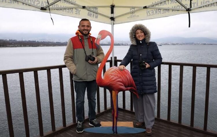 Doğanın en zarif misafirleri İzmit Körfezi’nde hayran bıraktı