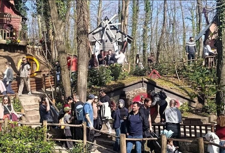 Ormanya’da Bahar Yoğunluğu: Güneşli Havada Ziyaretçi Rekoru