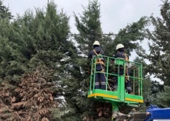 Kartepe’de Mezarlıklar ve Meydanlarda Yoğun Bakım Seferberliği