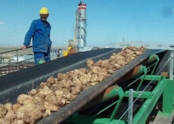 Adapazarı Şeker Fabrikası satılıyor: Yıldız Holding şeker üretiminden çekiliyor