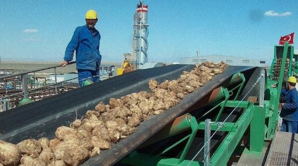 Adapazarı Şeker Fabrikası satılıyor: Yıldız Holding şeker üretiminden çekiliyor