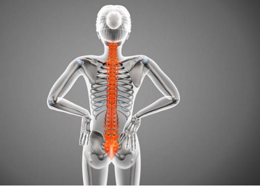Bel ve Sırt Ağrıları Neden Artıyor?