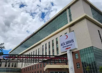 69b7a94df54a18c0d0f9de1a