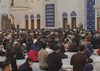 69b85bae6a554f24e6886679