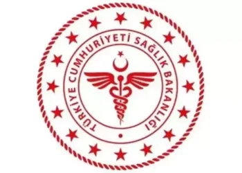 69bbb7a1075d846d2d1c22d3